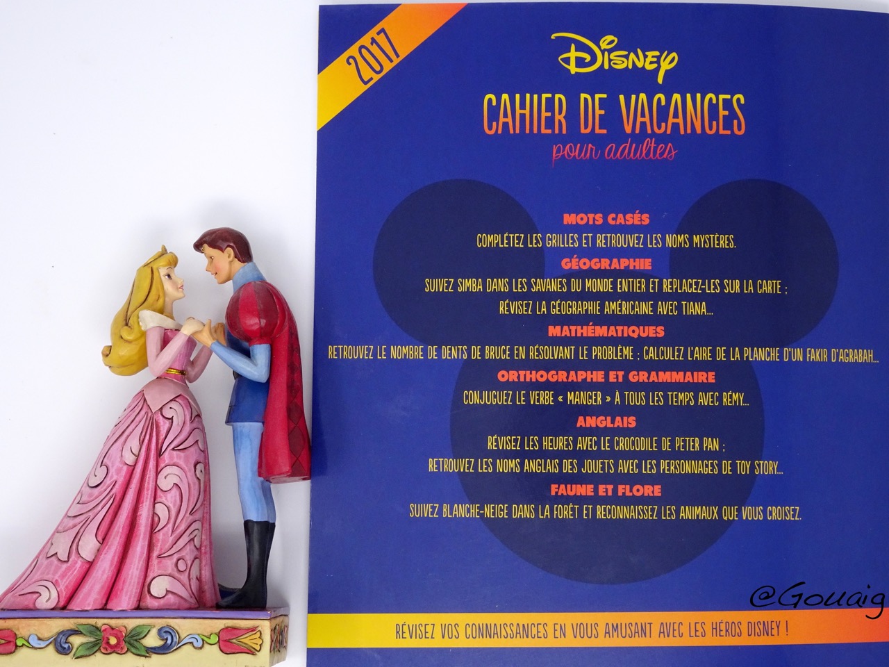 Cahier Coloriage Adulte Disney